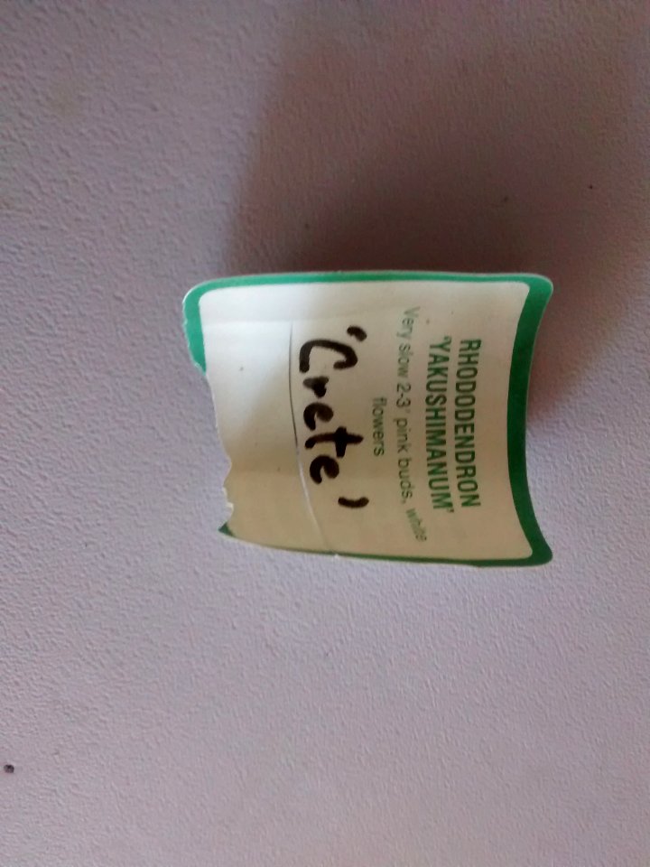 IMG 20150827 093202034