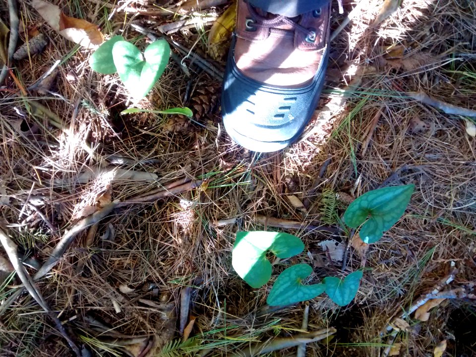 IMG 20151015 094209027