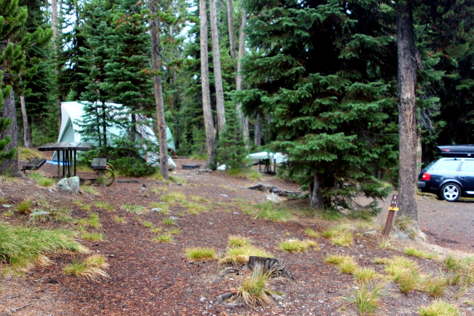 Lewis Lake Campground site