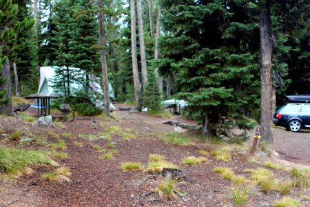 Lewis Lake Campground site