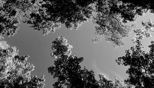 SKY VIEW - MICHIGAN (5) BW photo