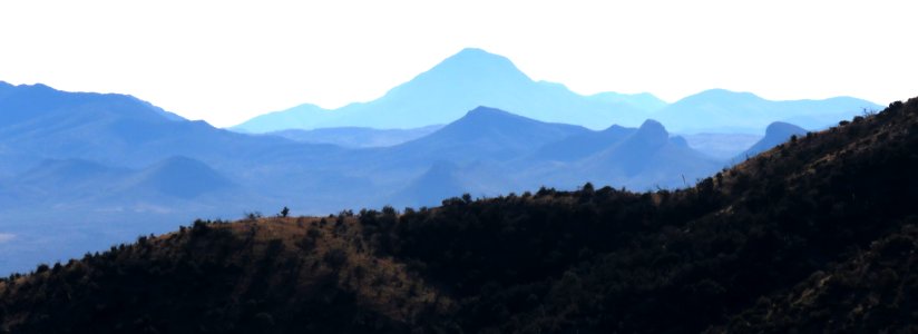 HUACHUCA MOUNTAINS, Hunter Canyon (12-7-2020 -02