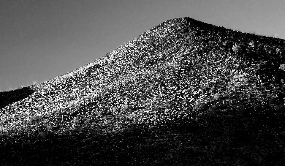 KOFA GAME RANGE, Palm Cyn Road (3-7-14) kofa game range, la paz co, az -16 photo