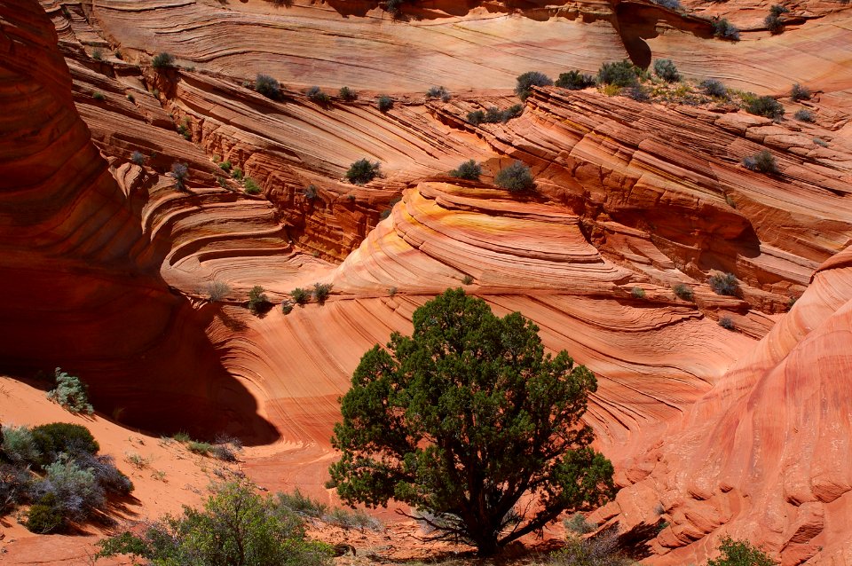 07 - South Coyote Buttes -21