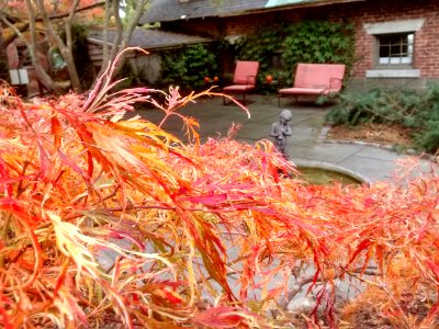 IMG 20151028 120044158 HDR