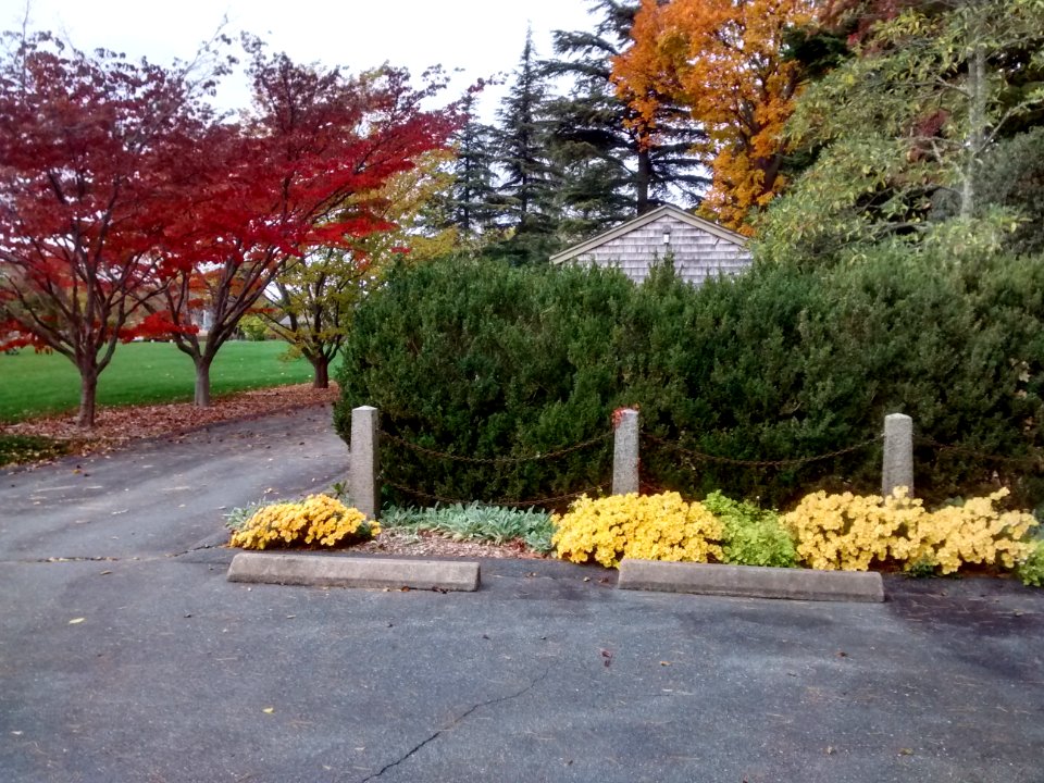 IMG 20151028 115626712 HDR