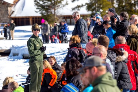 Ranger program at Old Faithful