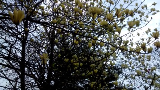IMG 20150505 110435203