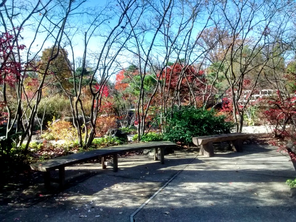 IMG 20151026 113832428 HDR