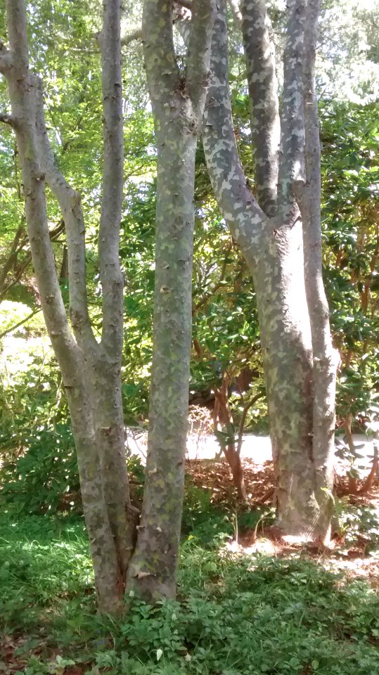 IMG 20150511 140857621