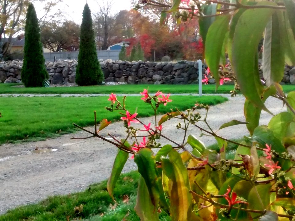 IMG 20151029 162114412 HDR