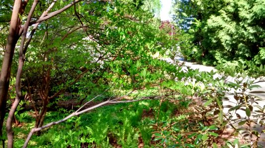 IMG 20150514 160702679 HDR