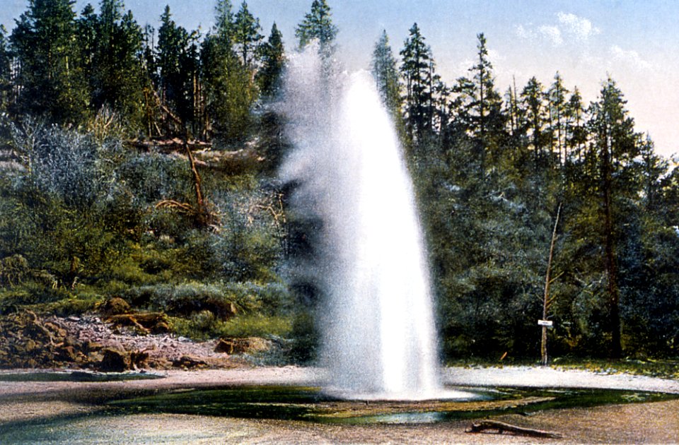 Economy Geyser