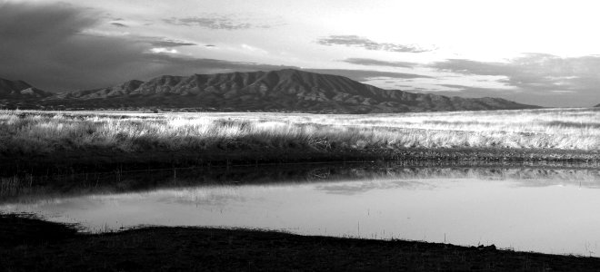 AZ - SAN RAFAEL VALLEY GRASSLANDS, SE of Patagonia, scc  (47)