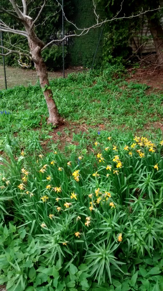 IMG 20150505 110512993