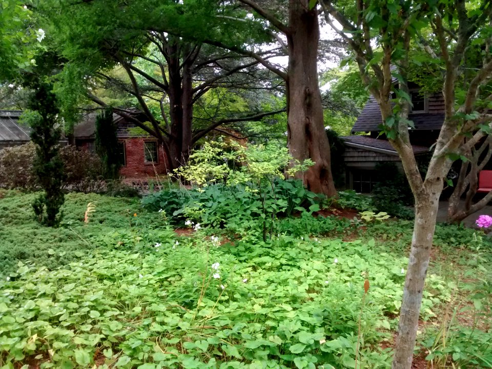 IMG 20150821 075410865