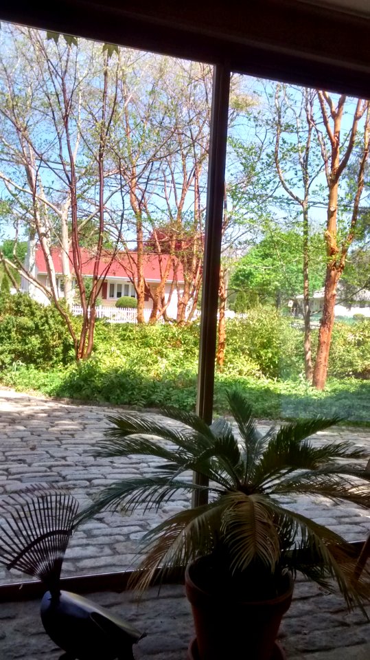 IMG 20150511 145227558 HDR