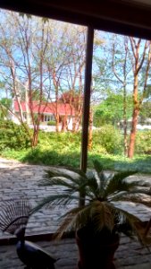 IMG 20150511 145227558 HDR