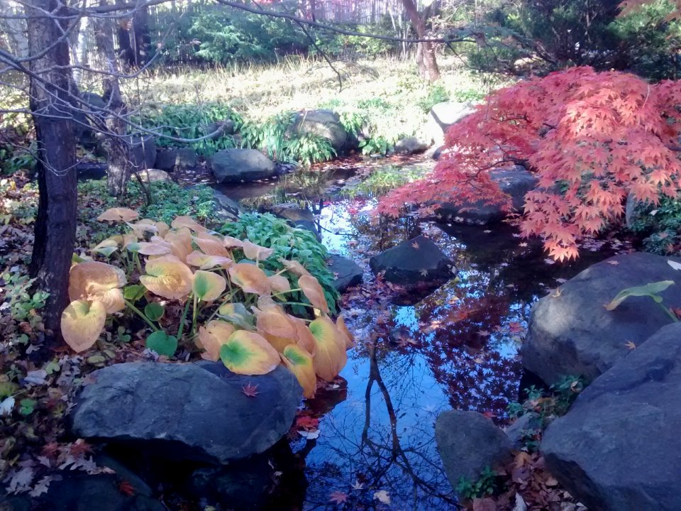 IMG 20151026 160211