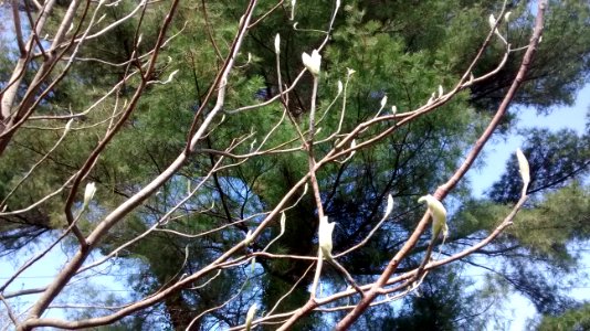 IMG 20150505 151846033