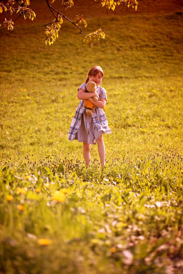 Teddy teddy bear meadow