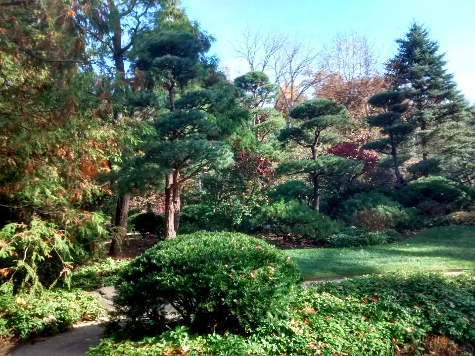 IMG 20151026 111355575 HDR