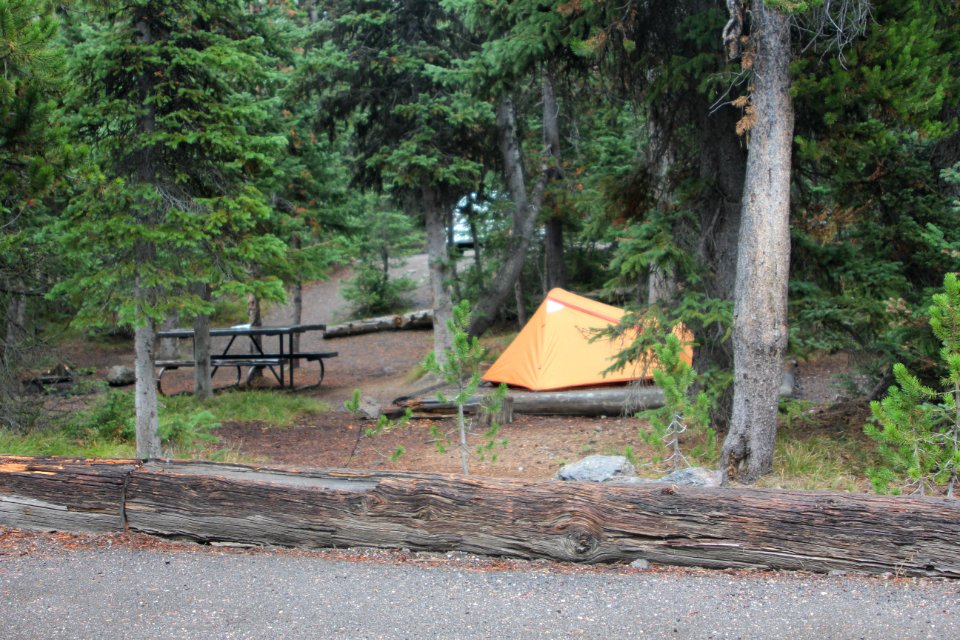 Lewis Lake Campground site