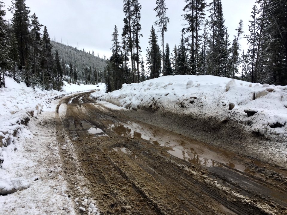 Snowmelt & mud in the construction zone between Mammoth Hot Springs and the Norris Geyser Basin