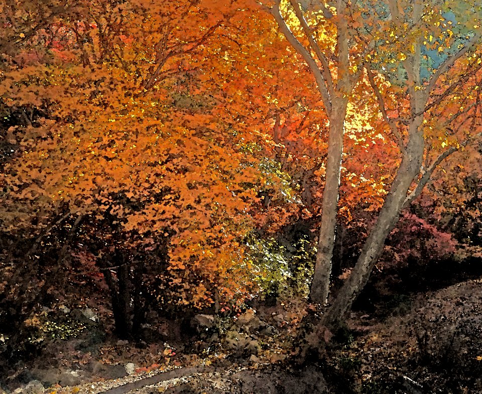 GARDEN CANYON, HUACHUCA MTS Fall Color (11-17-2020) - 07 PHOTOSHOP WATERCOLOR