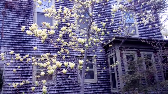 IMG 20150505 113727513