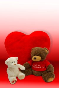 Teddy bear soft toy toys photo