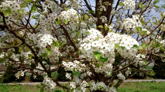 IMG 20150505 110909360