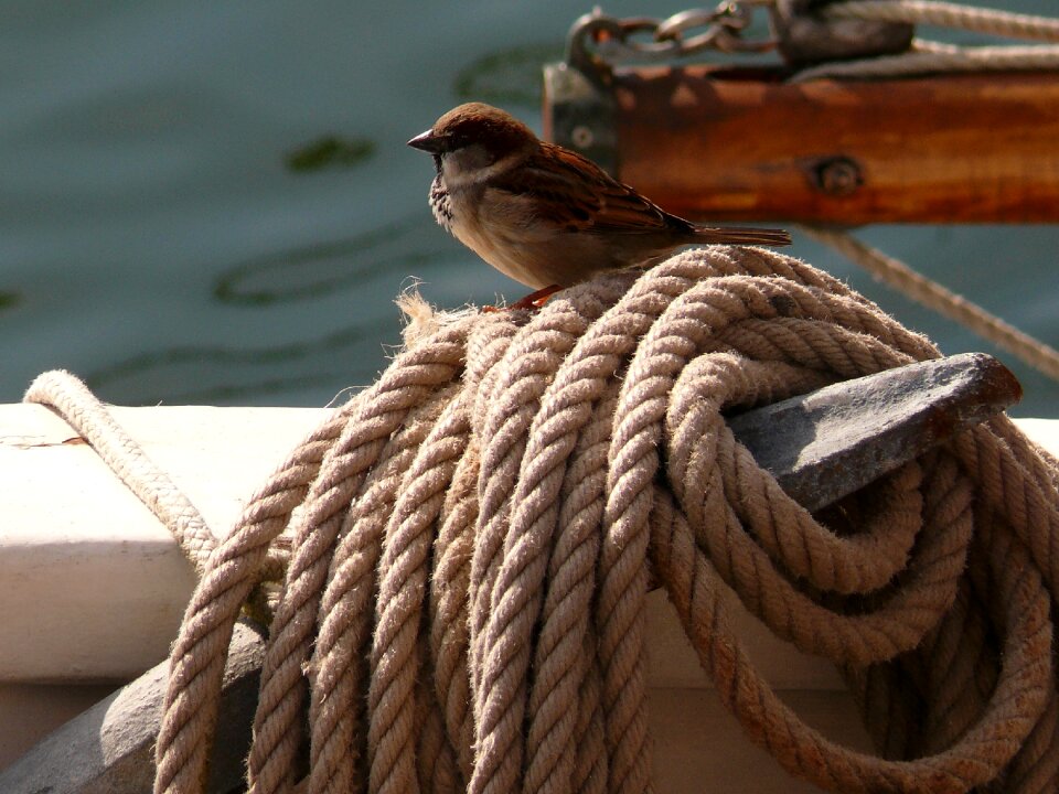 Water sailing vessel port