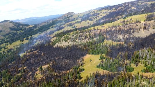 Fawn Fire August 8, 2016