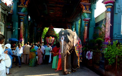 Annual Ganesh Chaturthi procession of Lord Manakula Vinayagar Pondicherry photo