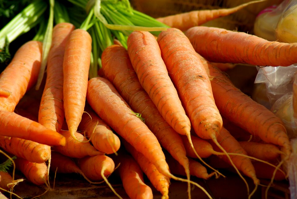 Vegetables vegetable garden market