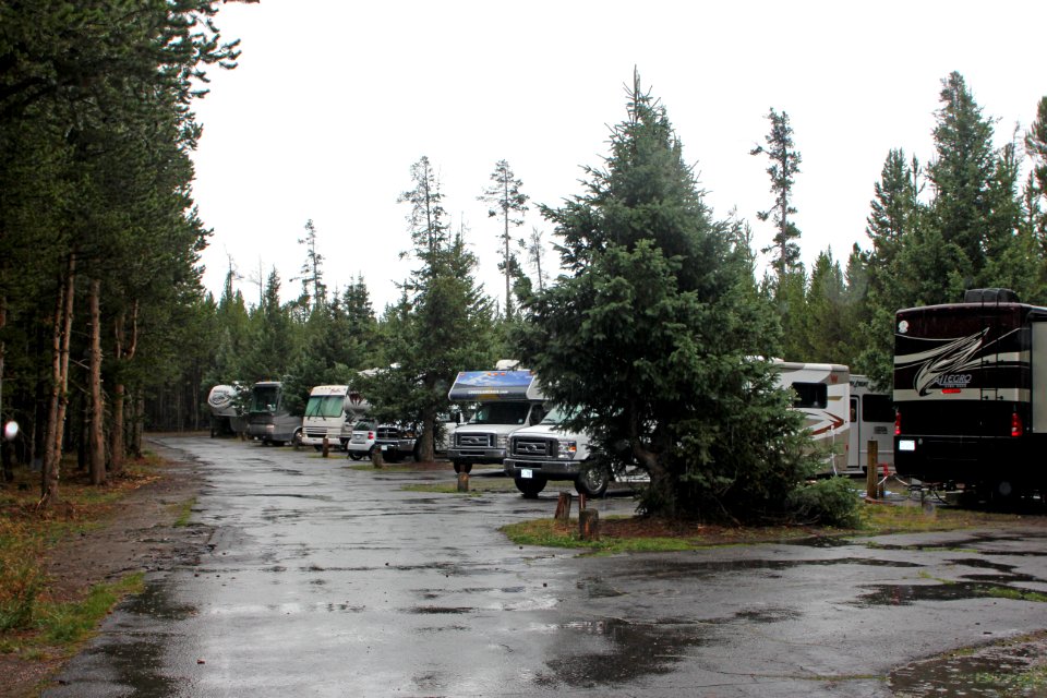 RVs at Fishing Bridge RV Park