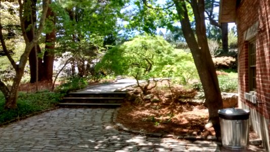 IMG 20150511 140800151 HDR