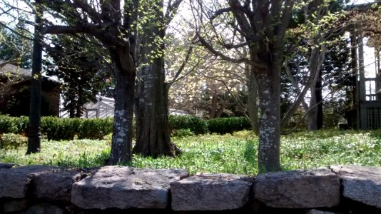 IMG 20150505 150605583