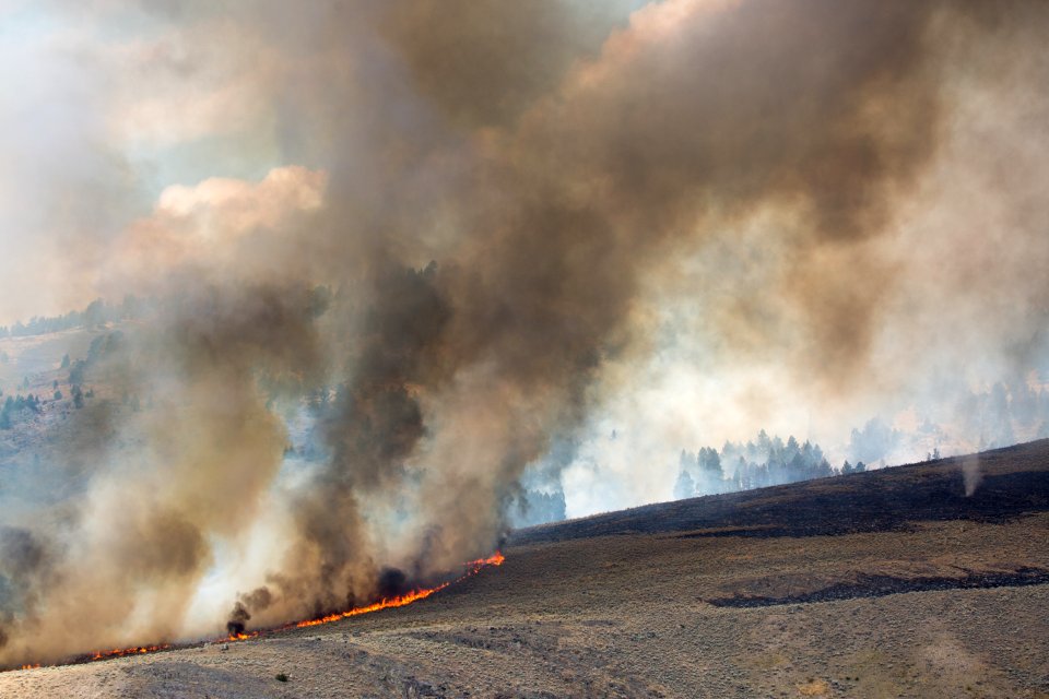 The Buffalo Fire