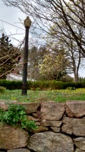 IMG 20150505 113204337 HDR