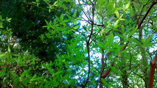 IMG 20150514 160512222