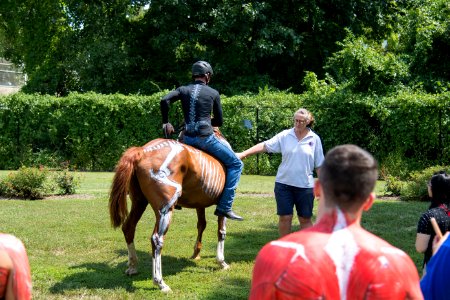 U.S. Army Caisson Platoon at Anatomy of Sports 17 Aug 2019
