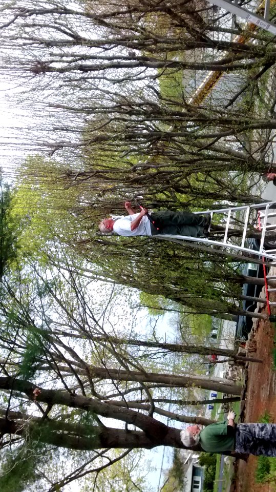 IMG 20150505 101221955