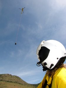 IMG 7439