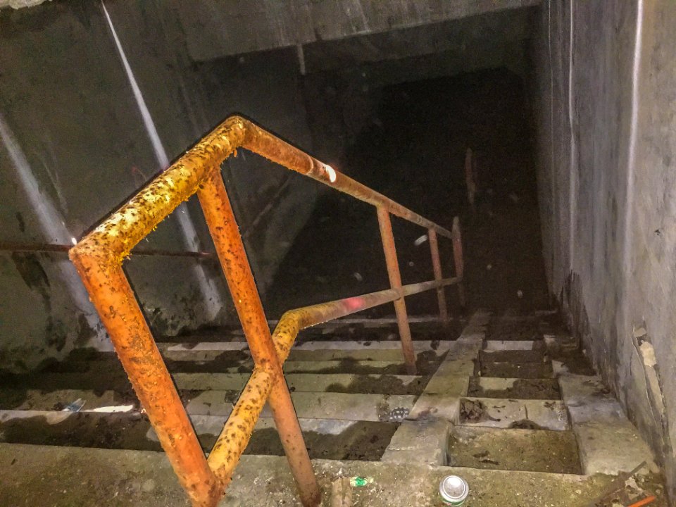Paton road abandoned railway tunnel.