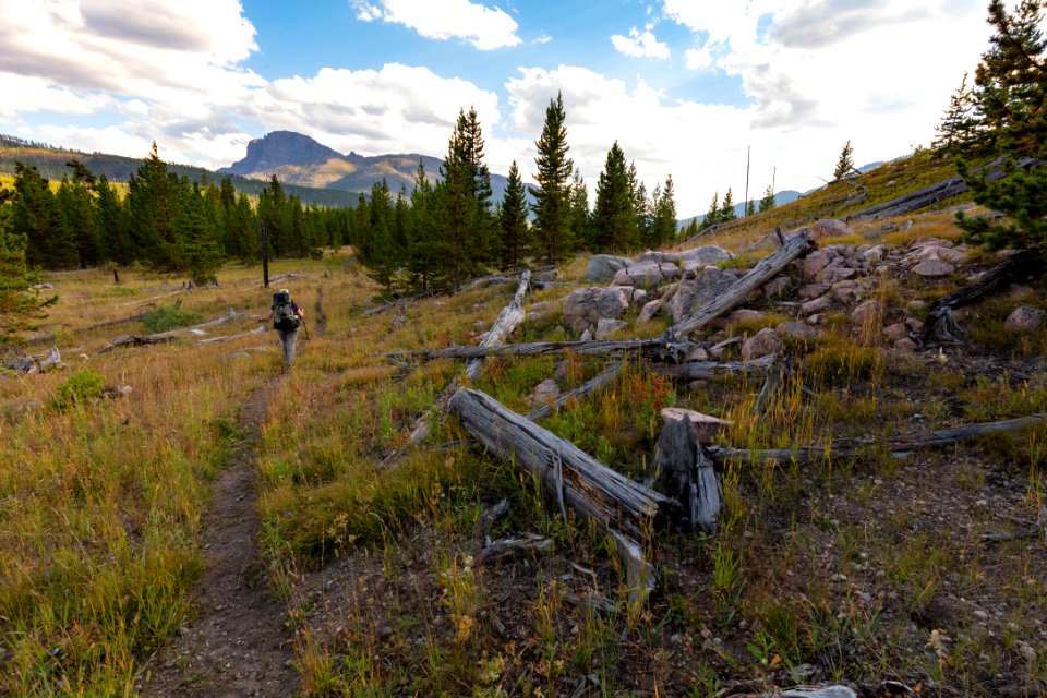 Hiking south in the Slough Creek Craining towards Frenchy Meadow