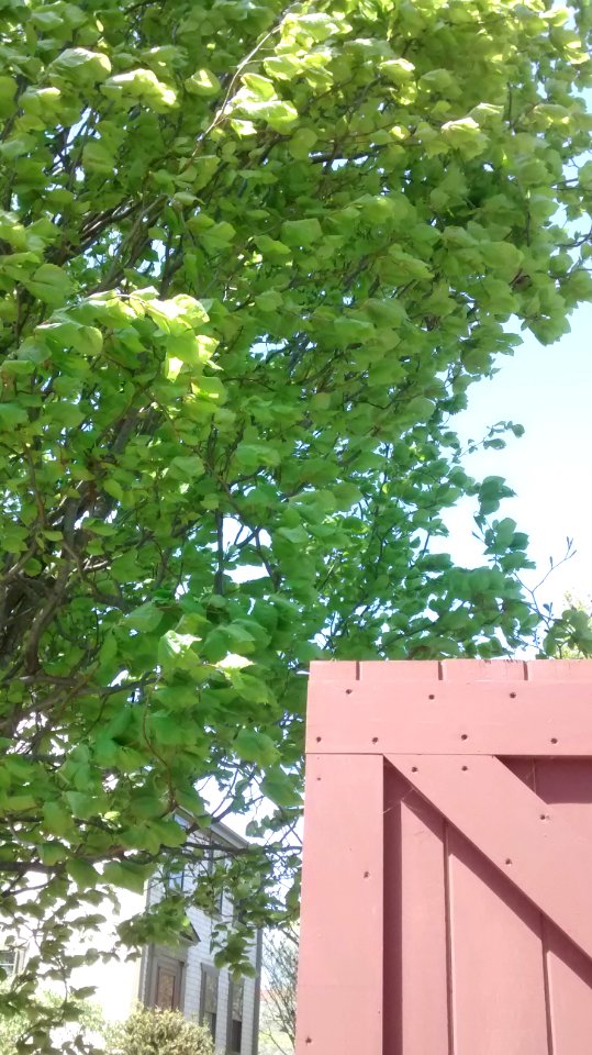 IMG 20150511 133516908