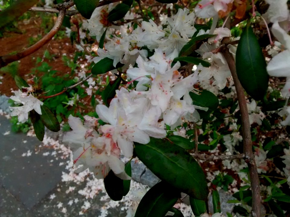 IMG 20150526 164602314