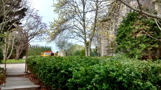 IMG 20150505 105944228 HDR